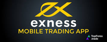 Exploring the Features of Exness MT4 Multiterminal